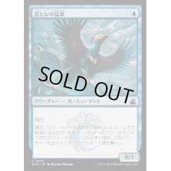 画像1: (FOIL)雲ヒレの猛禽/Cloudfin Raptor《日本語》【RVR】
