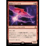[EX+](FOIL)弧光のフェニックス/Arclight Phoenix《日本語》【RVR】