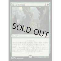 (FOIL)壌土からの生命/Life from the Loam《日本語》【RVR】