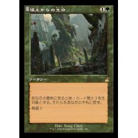 [EX+](FOIL)(旧枠仕様)壌土からの生命/Life from the Loam《日本語》【RVR】