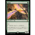 (FOIL)極楽鳥/Birds of Paradise《日本語》【RVR】