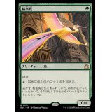 [EX+](FOIL)極楽鳥/Birds of Paradise《日本語》【RVR】