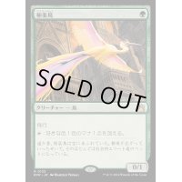(FOIL)極楽鳥/Birds of Paradise《日本語》【RVR】