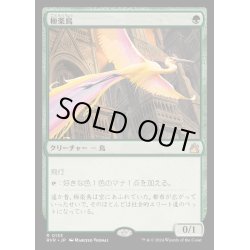 画像1: [EX+](FOIL)極楽鳥/Birds of Paradise《日本語》【RVR】