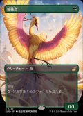 (FOIL)(フルアート)極楽鳥/Birds of Paradise《日本語》【RVR】