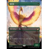 (FOIL)(フルアート)極楽鳥/Birds of Paradise《日本語》【RVR】