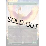 (フルアート)極楽鳥/Birds of Paradise《日本語》【RVR】