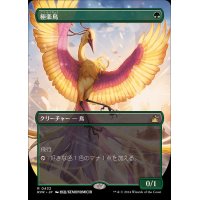 (FOIL)(フルアート)極楽鳥/Birds of Paradise《日本語》【RVR】