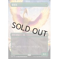 (フルアート)極楽鳥/Birds of Paradise《日本語》【RVR】