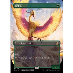 画像1: (FOIL)(フルアート)極楽鳥/Birds of Paradise《日本語》【RVR】