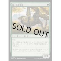 (FOIL)樹上の草食獣/Arboreal Grazer《日本語》【RVR】