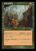 [EX+](FOIL)(旧枠仕様)荒野の再生/Wilderness Reclamation《日本語》【RVR】