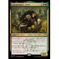 (FOIL)ゴルガリの女王、サヴラ/Savra, Queen of the Golgari《日本語》【RVR】