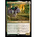 (FOIL)トルシミール・ウルフブラッド/Tolsimir Wolfblood《日本語》【RVR】