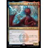 パルン、ニヴ＝ミゼット/Niv-Mizzet, Parun《日本語》【RVR】