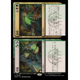 (FOIL)採取+最終/Find+Finality《日本語》【RVR】