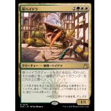 草ハイドラ/Phytohydra《日本語》【RVR】