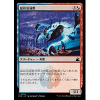 (FOIL)鉱岩流液獣/Petrahydrox《日本語》【RVR】