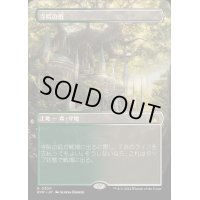 [EX](フルアート)寺院の庭/Temple Garden《日本語》【RVR】