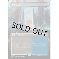 [EX+](フルアート)神聖なる泉/Hallowed Fountain《日本語》【RVR】