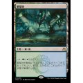 (FOIL)繁殖池/Breeding Pool《日本語》【RVR】