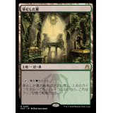 [EX+]草むした墓/Overgrown Tomb《日本語》【RVR】