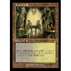 画像1: [EX+](FOIL)(旧枠仕様)草むした墓/Overgrown Tomb《日本語》【RVR】