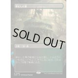 [PLD](フルアート)草むした墓/Overgrown Tomb《日本語》【RVR】