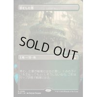 [EX+](フルアート)草むした墓/Overgrown Tomb《日本語》【RVR】
