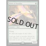 (FOIL)極楽鳥/Birds of Paradise《英語》【RVR】