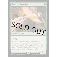 [EX+]極楽鳥/Birds of Paradise《英語》【RVR】