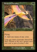 (FOIL)(旧枠仕様)極楽鳥/Birds of Paradise《英語》【RVR】