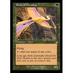 画像1: (FOIL)(旧枠仕様)極楽鳥/Birds of Paradise《英語》【RVR】