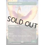 (FOIL)(フルアート)極楽鳥/Birds of Paradise《英語》【RVR】