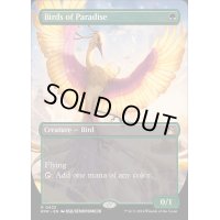 [EX+](フルアート)極楽鳥/Birds of Paradise《英語》【RVR】