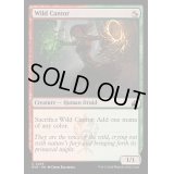 (FOIL)野生の朗詠者/Wild Cantor《英語》【RVR】
