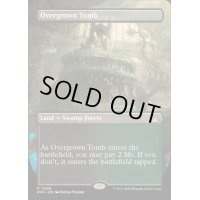 [EX+](FOIL)(フルアート)草むした墓/Overgrown Tomb《英語》【RVR】