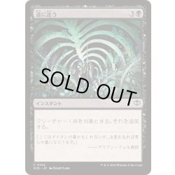 画像1: (FOIL)道に迷う/Wander Off《日本語》【SOS】