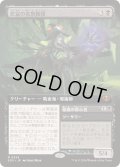 [EX+](FOIL)(フルアート)悲哀の名誉教授/Emeritus of Woe《日本語》【SOS】