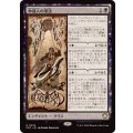 仲裁人の筆法/Intermediate Chirography《日本語》【SOC】