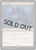 [EX+]不吉な収穫/Ominous Harvest《日本語》【SOC】