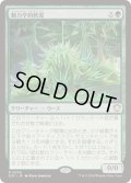 [EX+]動力学的軟泥/Kinetic Ooze《日本語》【SOC】