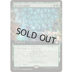 画像1: [EX+](フルアート)格子窓の図書館/Lattice Library《日本語》【SOC】