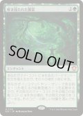[EX+]解き放たれた繁栄/Unbound Flourishing《日本語》【SOC】