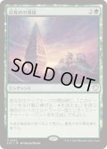 [EX+]目覚めの領域/Awakening Zone《日本語》【SOC】
