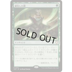 画像1: 硬化した鱗/Hardened Scales《日本語》【SOC】