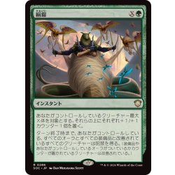 画像1: [EX+]絹鎧/Silkguard《日本語》【SOC】