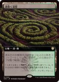 [EX+](フルアート)渦巻く湿原/Turbulent Fen《日本語》【SOC】