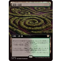 画像1: (フルアート)渦巻く湿原/Turbulent Fen《日本語》【SOC】
