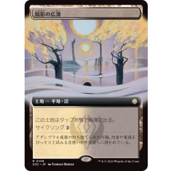 画像1: (フルアート)陰影の広漠/Umbral Expanse《日本語》【SOC】